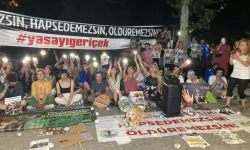 Ankara'da Sokak Hayvanlarına Yönelik Yasa Teklifi Protesto Edildi