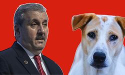 Mustafa Destici: Sokaklarımız Köpeklerden Temizlenmeli!