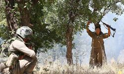 Şırnak'ta 3 PKK'lı Terörist Teslim Oldu