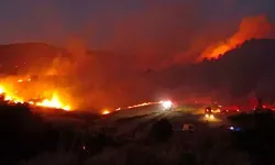 İzmir'de Çıkan Yangınlara İlişkin 6 Kişi Tutuklandı