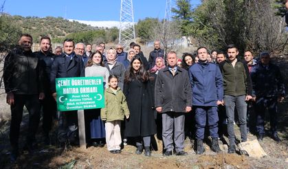 Üzerine Kaya Düşen Otomobilde Ölen 4 Öğretmen İçin Hatıra Ormanı