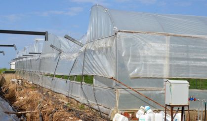 Antalya'da 10 Dakika Süren Yağmur, Seralara Zarar Verdi