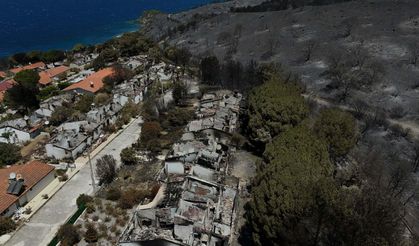 İzmir'de Orman Yangınları Sonrası Yangın Sigortasına Talep Arttı