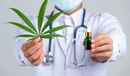 Tıbbi Kenevir Tedavi Amaçlı Değişik Hastalıklarda Kullanılabiliyor