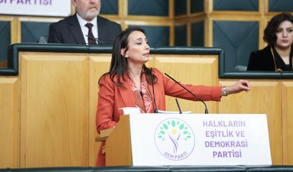 DEM Parti'li Hatimoğulları: İnfaz rejimi toplumsal barışı güçlendirmelidir