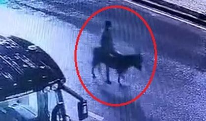 Forkliftle kuyumcu soyup eşekle kaçan şüpheli: Yaşadığım maddi sıkıntılar aklıma geldi