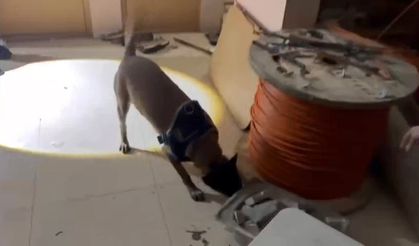 Avcılar'da uyuşturucu operasyonu: 50 kilo 809 gram metamfetamin ele geçirildi