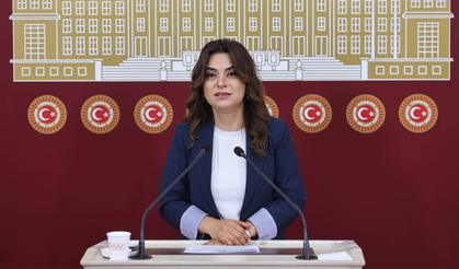 DEM Parti'li Koçyiğit: Hukuki düzenlemeler bütüncül perspektifle hayata geçirilmeli