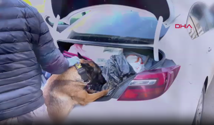 73 ilde uyuşturucu madde satıcılarına operasyon: 958 şüpheli yakalandı