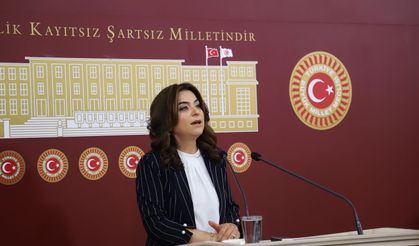 DEM Parti'li Koçyiğit: Sürecin geciktirilmesini doğru bulmuyoruz