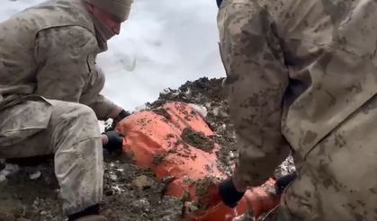 Van ve Hakkari'de 446 kilo uyuşturucu ele geçirildi: 8 gözaltı