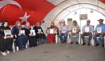 Diyarbakır'da evlat nöbetini sürdüren aileler, 14’üncü bayrama da buruk girdi