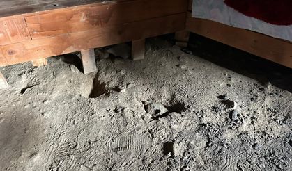 Düzgün Baba Ziyaretgahı tahrip edildi, 1'i muhtar 4 şüpheli hakkında soruşturma
