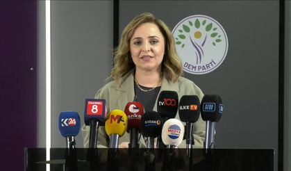 DEM Parti'li Doğan'dan 'Terörsüz Türkiye' süreci açıklaması