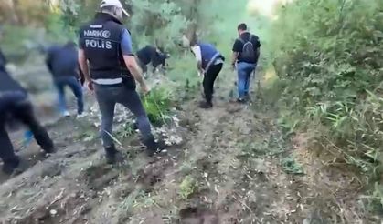 Hevsel Bahçeleri’nde 12 bin 174 kök kenevir ele geçirildi