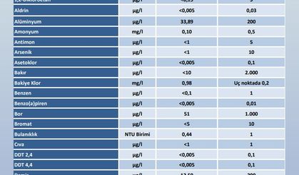ABB'den 'şebeke suyu' açıklaması