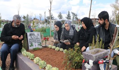 Rojin’in babası: Yeni avukatlar, daha önce yapılmayan bütün incelemeleri ele alacak