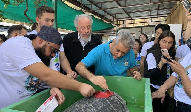 Tedavisi Tamamlanan 3 Deniz Kaplumbağası ve Yavruları Denizle Buluşturuldu