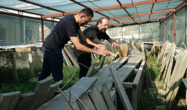 Dünyadaki Salyangoz İhtiyacının Yüzde 70'ini Türkiye Karşılıyor