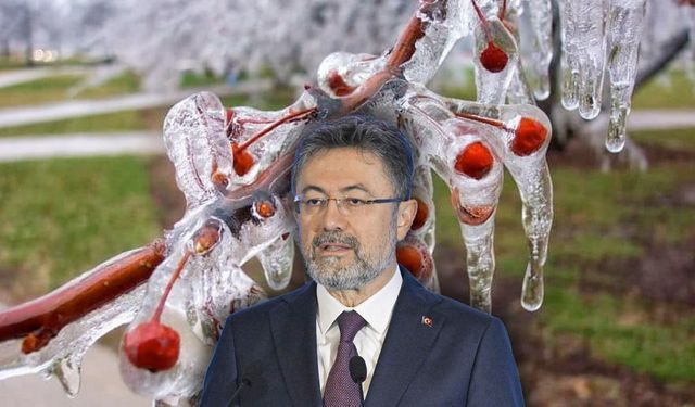 Zirai Don İle İlgili Açıklamalarda Bulunan Bakan Yumaklı Sigortasız Üreticiye de Destek Verileceğini Söyledi