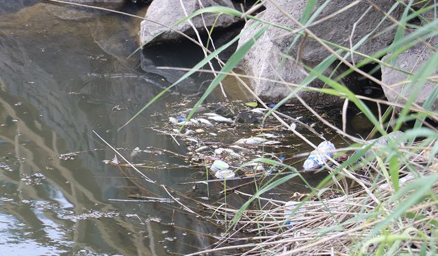 Dicle Nehri’nde Balık Ölümleri; Profesörden ‘Can Suyu’ Uyarısı