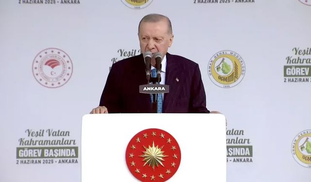 Cumhurbaşkanı: Avrupa'da Yangınla Mücadelede Birinciyiz