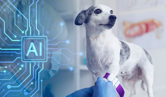 Hayvan Tedavilerinde 'Yapay Zeka' Dönemi Başlıyor