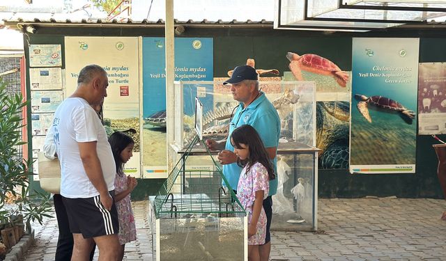 Türkiye'nin İlk ve Tek Caretta Caretta Müzesine Yoğun İlgi