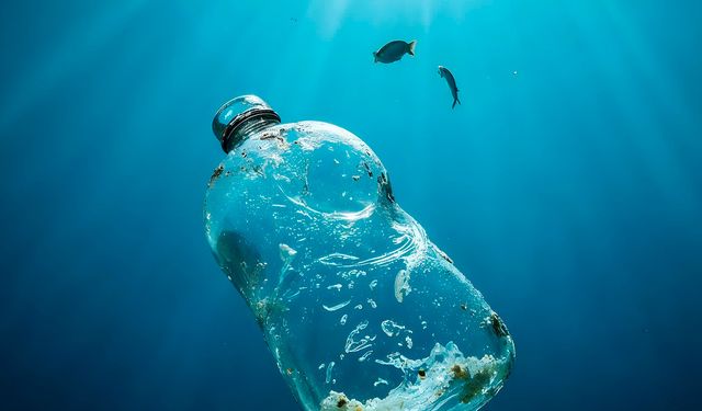 Mikroplastik Tehlikesi Gözle Görülmüyor, Hayatı Tehdit Ediyor