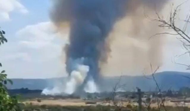 Bursa'da Orman Yangını! Çok Sayıda Ekip Müdahale Ediyor