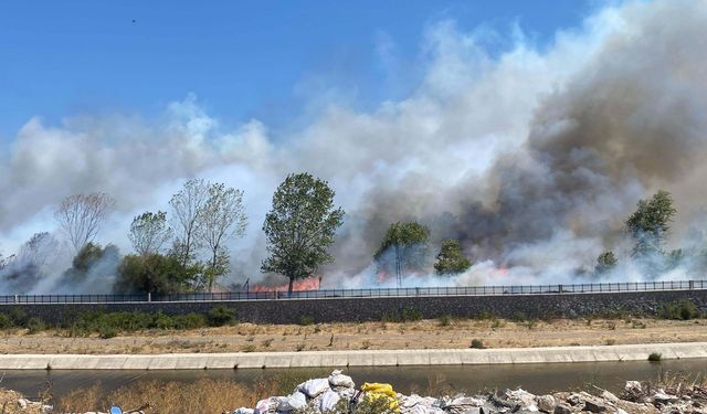 Çanakkale'de Ayvacık'ta da Orman Yangını Çıktı