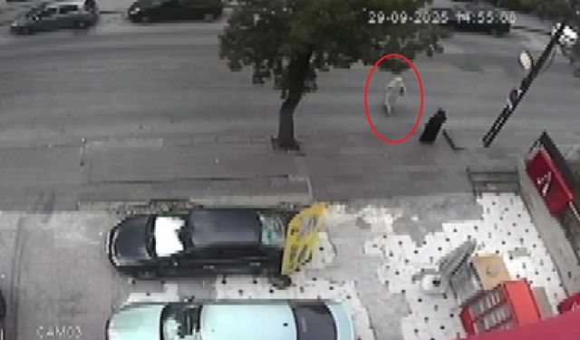 Ambulansın Çarptığı Yaya Öldü