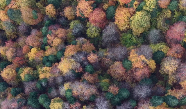 Bolu Mengen'de sonbahar güzelliği