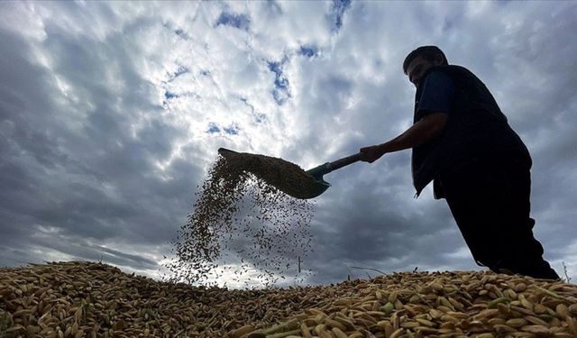 Bakanlıktan üreticilere 22 milyar 946 milyon lira zirai don desteği
