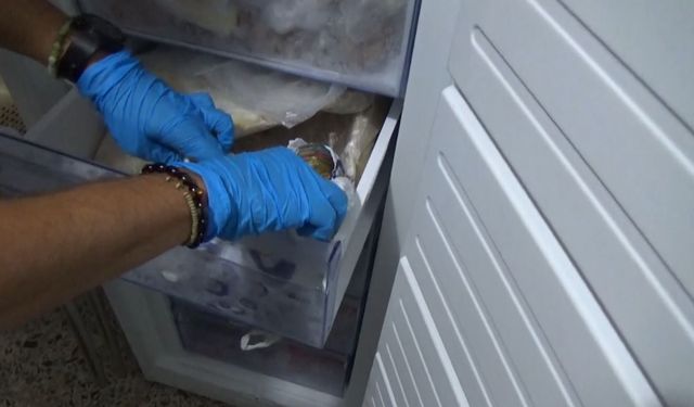 Dolandırdıkları kişiden aldıkları 85 bin avroyu derin dondurucuya saklamışlar