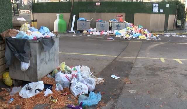 Maltepe'de çöpler toplanmadı; ilçe sakinleri isyan etti