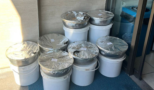 Otobüsle uygunsuz taşınan sarma ve dolmalar imha edildi