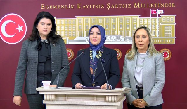 TBMM'deki taciz iddialarının takip edilmesi için komisyonda izlem grubu oluşturuldu