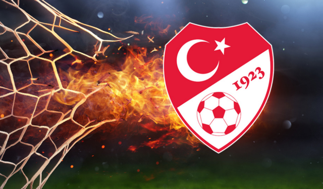 TFF bahis soruşturmasında 248 kişiye hak mahrumiyeti cezası!