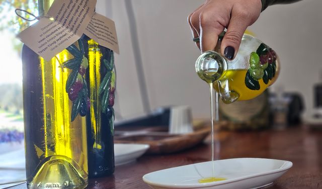 'Tavşan yüreği zeytinyağı, kemoterapi kadar etkili'