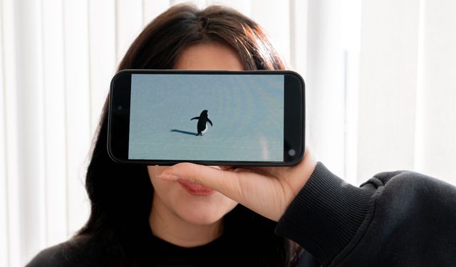 'Nihilist penguen'e kendi yalnızlığımızı yükledik'