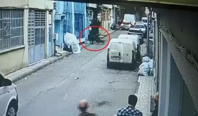 Pitbul ile saldırı davasında 3 sanığa indirimli hapis cezası