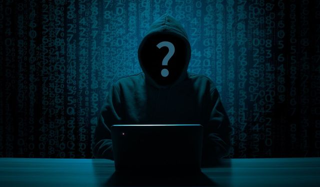 'Siyah şapkalı hacker' yakalandı