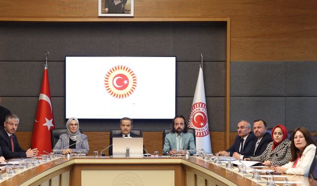 Komisyon raporu: Çocukların korunması için Cumhurbaşkanlığı'na bağlı birim oluşturulmalı