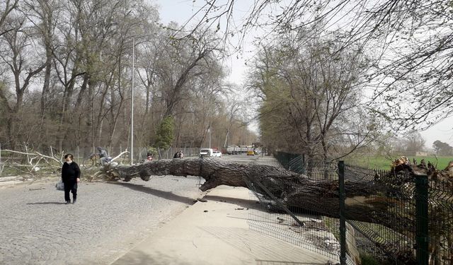 Marmara'nın batısı için 'fırtına' uyarısı
