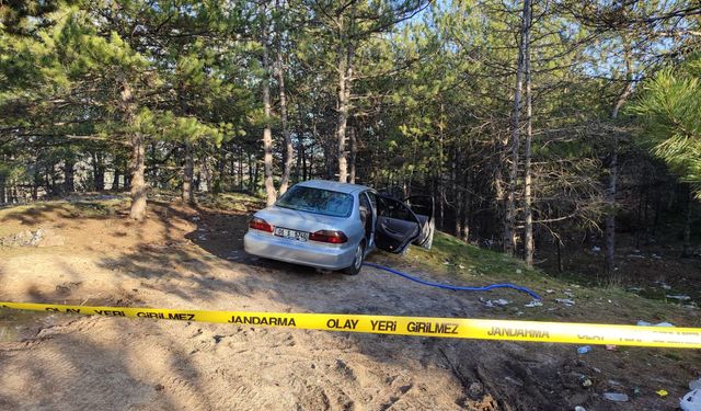 Park halindeki otomobilde ölü bulundu