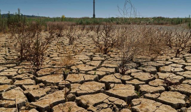 'Türkiye'de kronik kuraklık sürüyor'