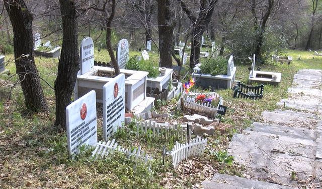 Türkiye'nin ilk evcil hayvan mezarlığına bayram ziyareti