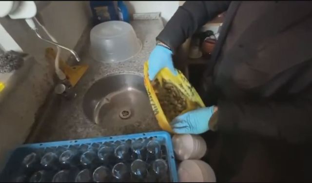 Beykoz ve Çekmeköy'de uyuşturucu operasyonu: 11 gözaltı