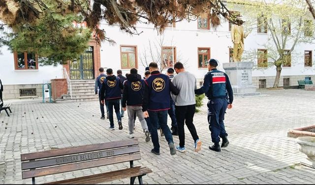 Çobanları hamama götürüp, 5 milyon lira değerindeki büyükbaşları çaldılar